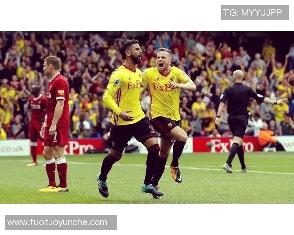 埃弗顿主场迎战沃特福德精彩直播全程回顾与分析